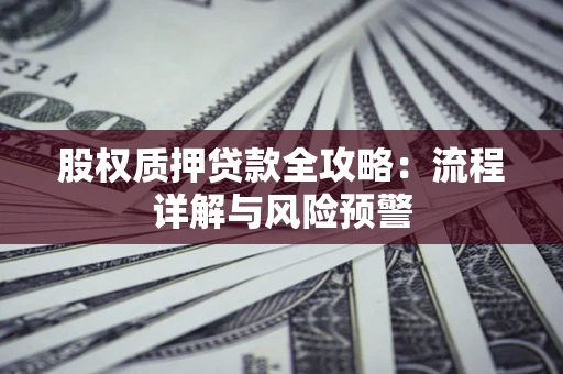 武汉股权质押贷款全攻略：流程详解与风险预警