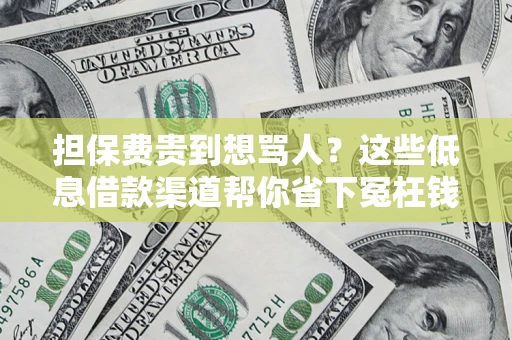 武汉担保费贵到想骂人？这些低息借款渠道帮你省下冤枉钱