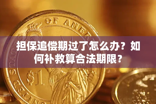 武汉担保追偿期过了怎么办？如何补救算合法期限？