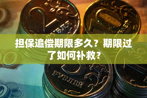 武汉担保追偿期限多久？期限过了如何补救？