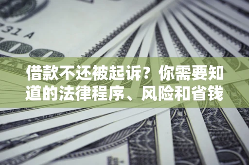 武汉借款不还被起诉？你需要知道的法律程序、风险和省钱技巧