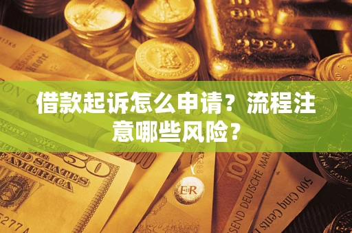 武汉借款起诉怎么申请？流程注意哪些风险？